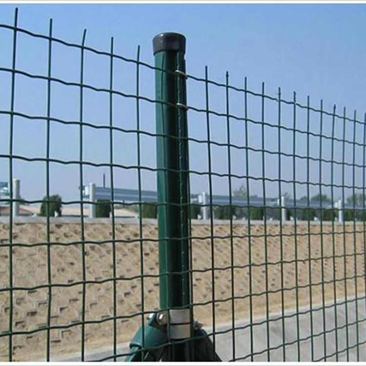 Dutch mesh, wire mesh, breeding fence, enclosure for chicken farming, protective isolation net, steel wire welding, external immersion plastic spring rain