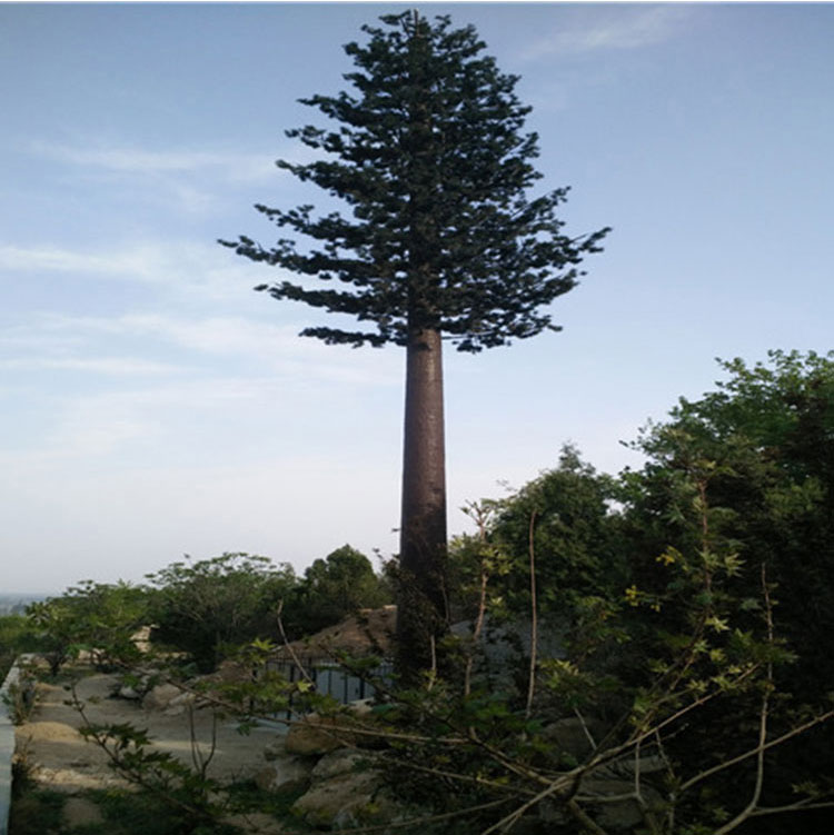 Kaifeng Biomimetic Tree Tower Communication Signal Tower Landscape Biomimetic Tree Single Pipe Communication Tower with Strong Impact Resistance Customized by the Manufacturer