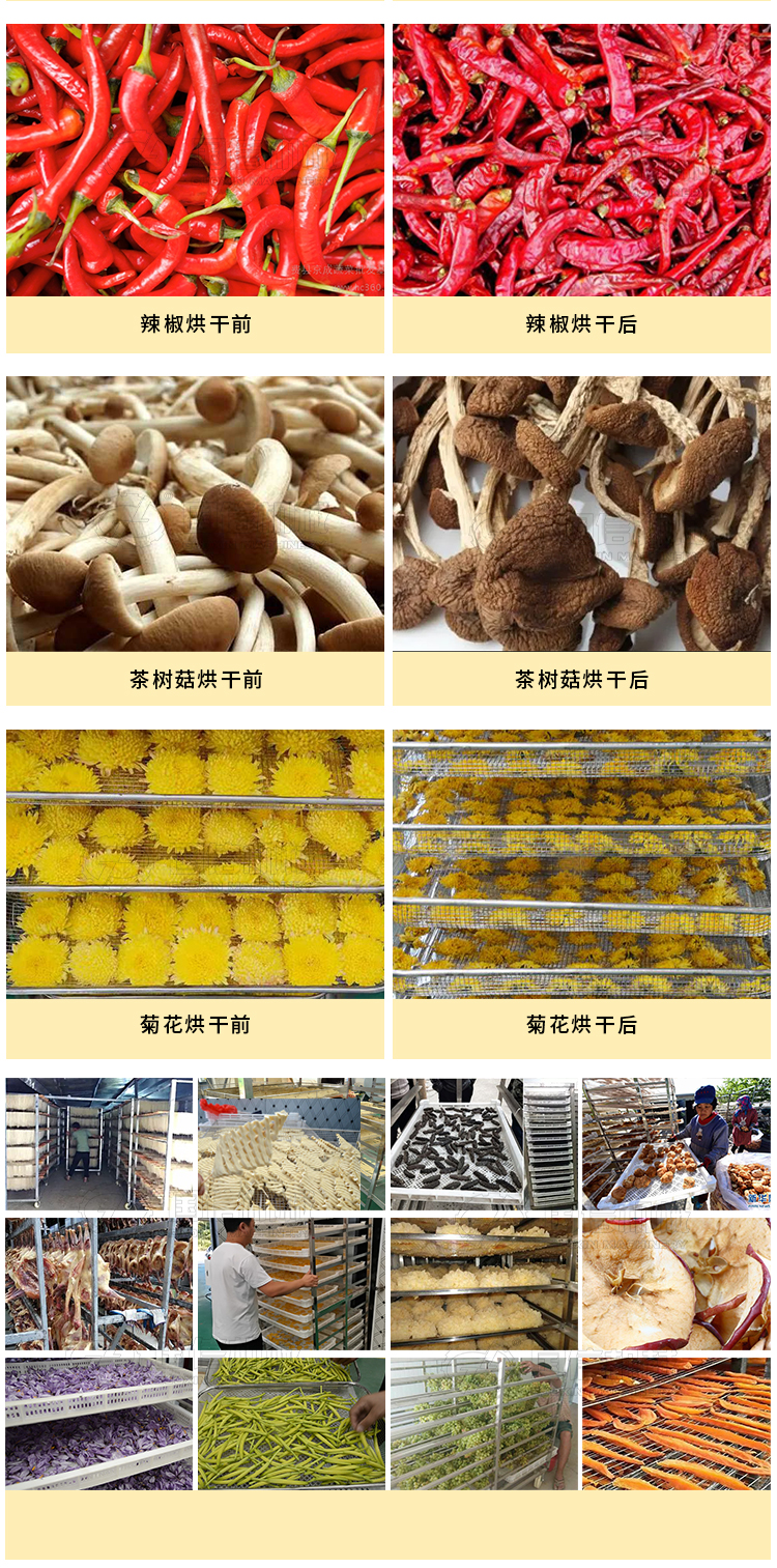 Green pepper dryer Large vegetable drying equipment Fruit and vegetable drying room Household pepper dryer