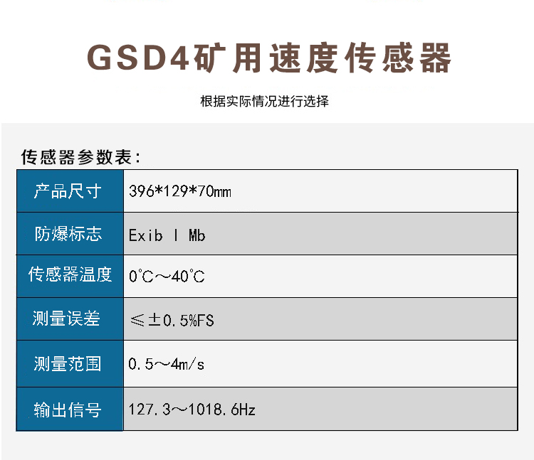 Wanli Mining Belt Scale Speed Sensor GSD4 Accurate Measurement of Return Belt Speed Data