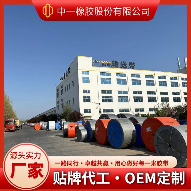 中一 耐酸碱NN尼龙输送带 用于运输PH值4-10腐蚀性物料 品质稳 工期快