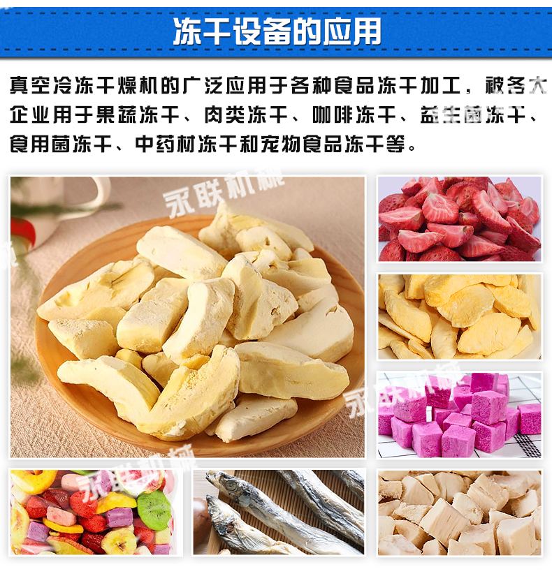 Yonglian DG-6 flowerless fruit freeze-drying machine Kiwi vacuum freeze-drying equipment Low temperature drying equipment