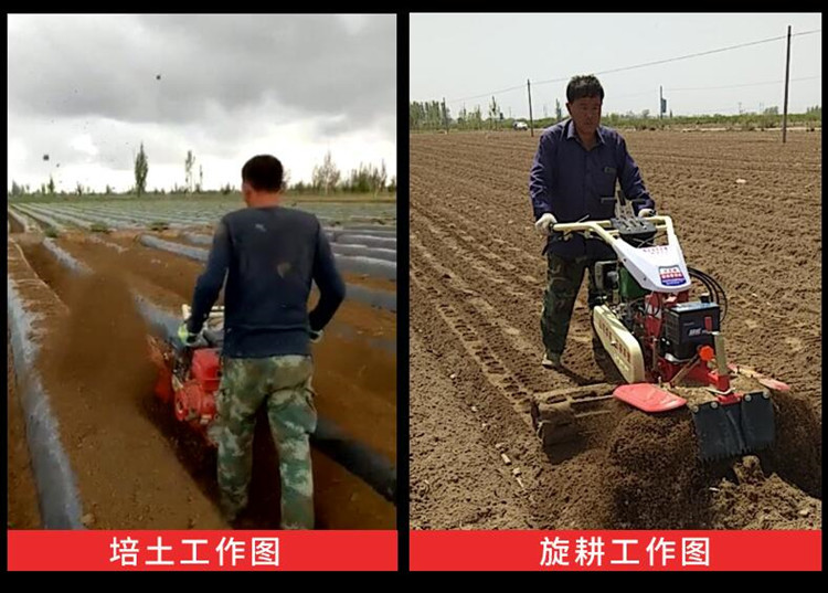 Zhixun Scallion Planting and Earthing Machine Handheld Morchella Mushroom Trenching and Earthing Machine Four Wheel Drive Multi functional Trenching Machine