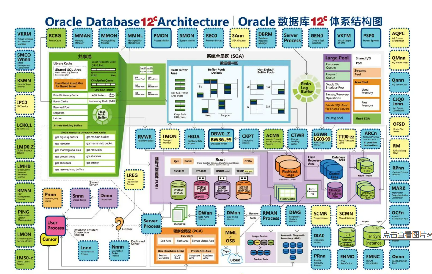 Oracle Database Enterprise Oracle Database Enterprise ORACLE RAC Cluster 11G//21C