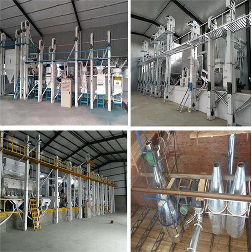 Complete set of rice milling machinery, 50 tons of rice processing equipment, fully automatic rice milling machine, one machine with multiple functions