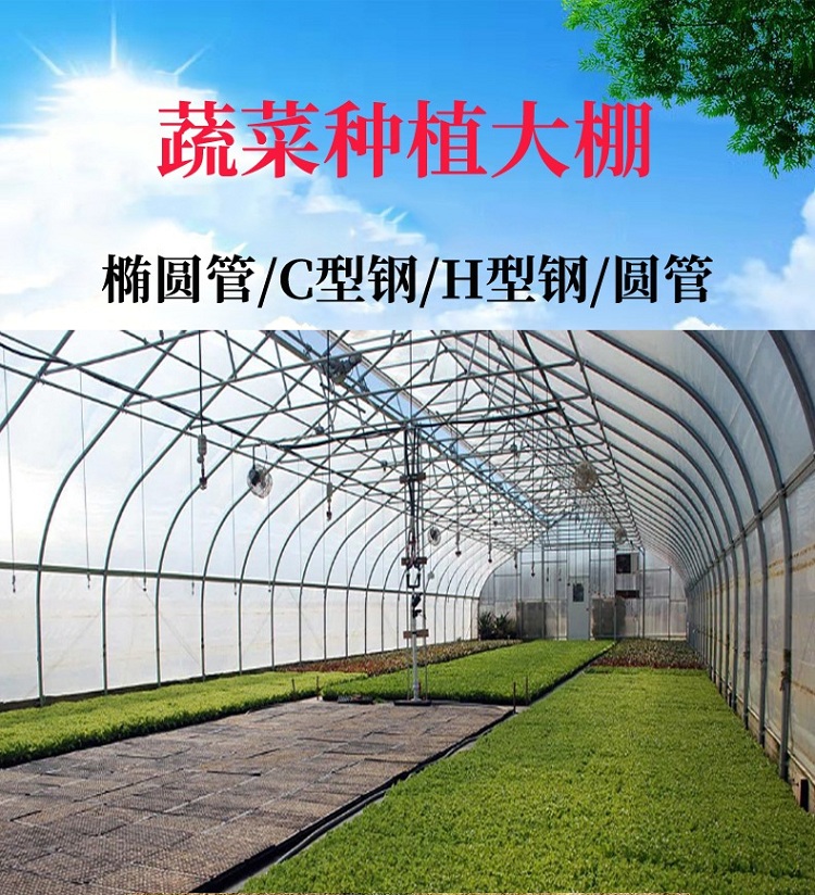 Tai You Yi Building Materials Simple Film Greenhouse, Single Insertion Greenhouse, Arch Greenhouse, Agricultural Seedling Cultivation, Flower Cold Greenhouse Installation