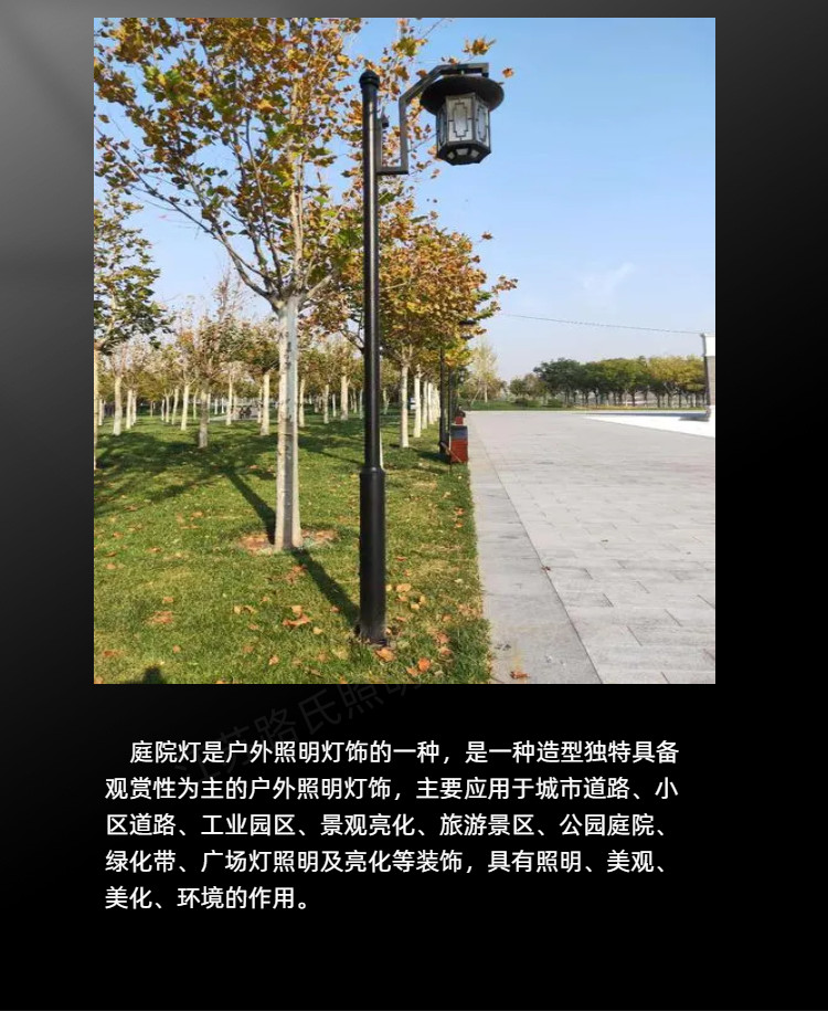 3-meter landscape light customized by Lu Shi manufacturer for school park characteristic courtyard lights