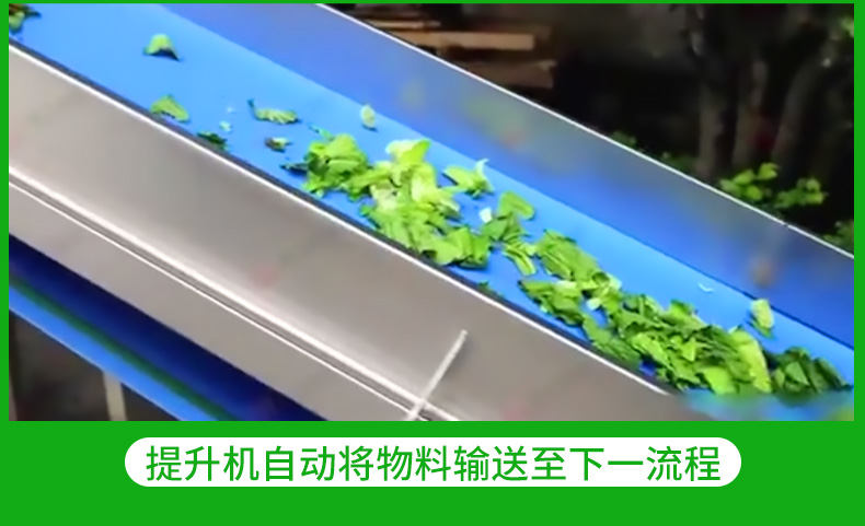 Central Kitchen Prefabricated Vegetable Processing Line Leaf Vegetable, Hair Vegetable Cleaning Line Vegetable, Fruit, and Clean Vegetable Production Line Plan