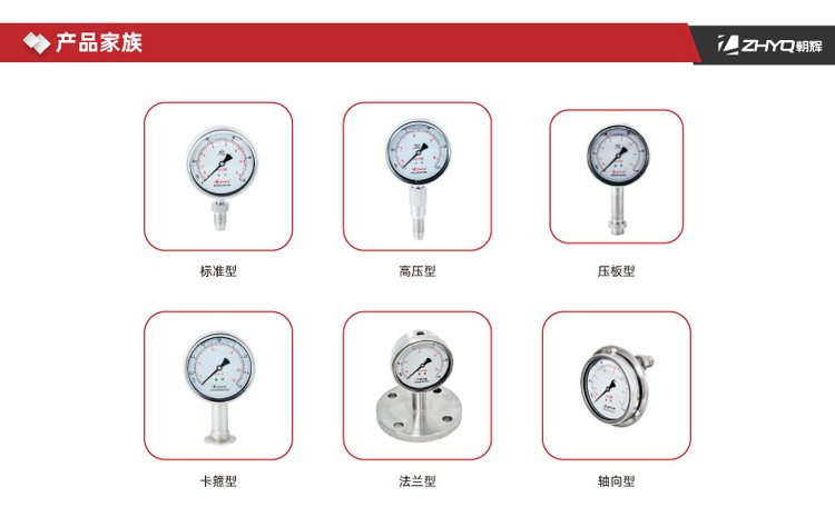 PT124B-620 621 Food Equipment Homogenizer Special Diaphragm Pressure Gauge 70-100-150MPa