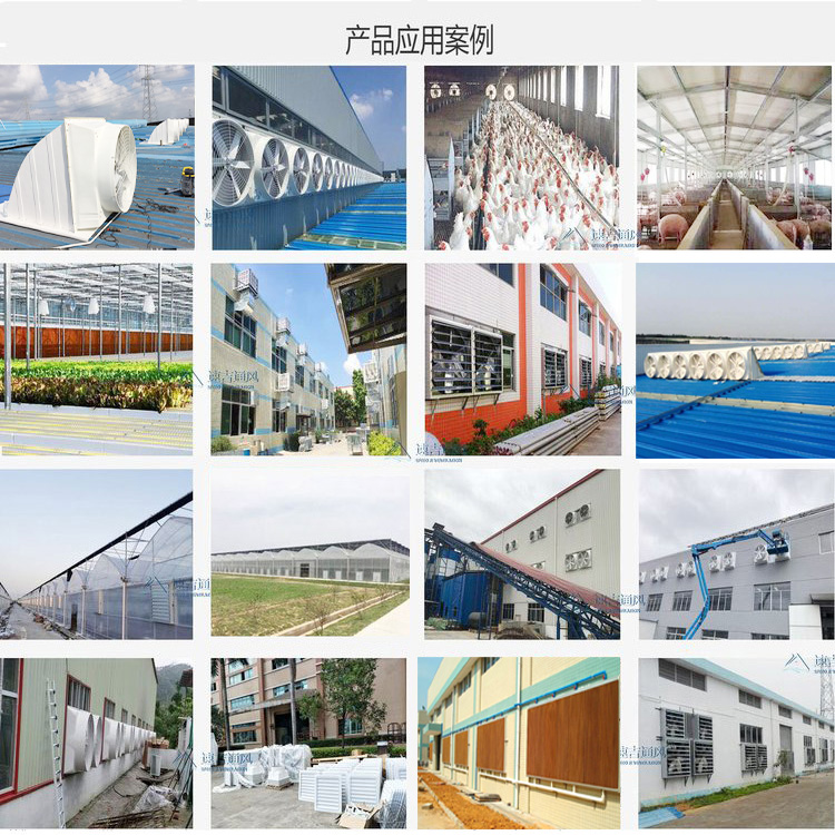 Industrial fiberglass negative pressure fan anti-corrosion and high-temperature resistant roof exhaust fan water curtain paper factory ventilation and cooling equipment