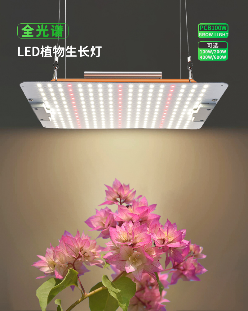 PCB quantum board Grow light full spectrum greenhouse fleshy vegetable flower potted LED fill light