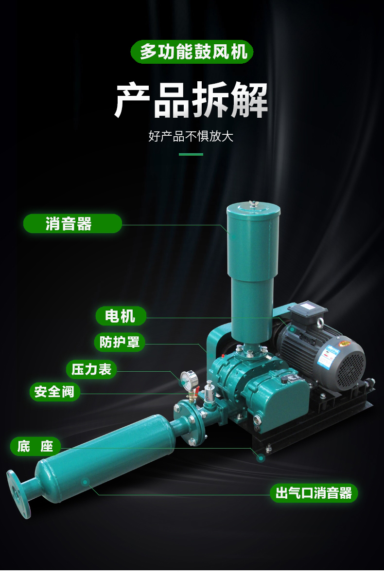 Roots blower for powder conveying (cement, feed, small flakes)