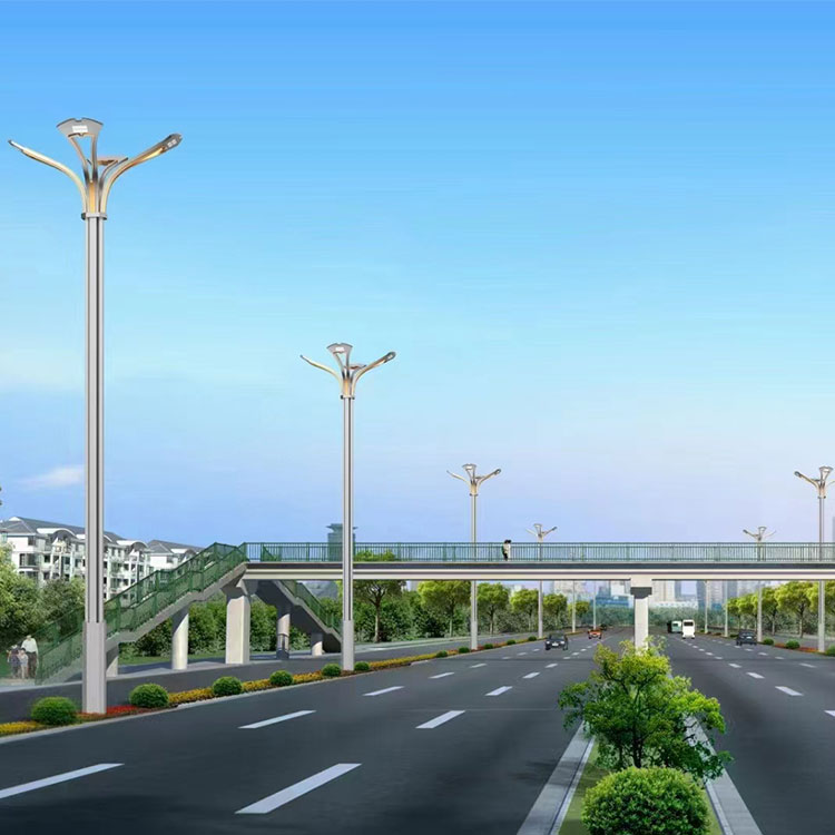 Customized municipal road combination lamp, Zhonghua Lamp, large LED landscape Yulan Lamp, Runchang Lighting