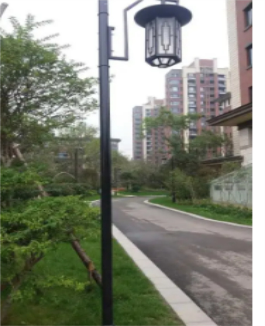 New Rural Solar Lighting Street Lamp Tibetan Style 6m 30W New Flame Light