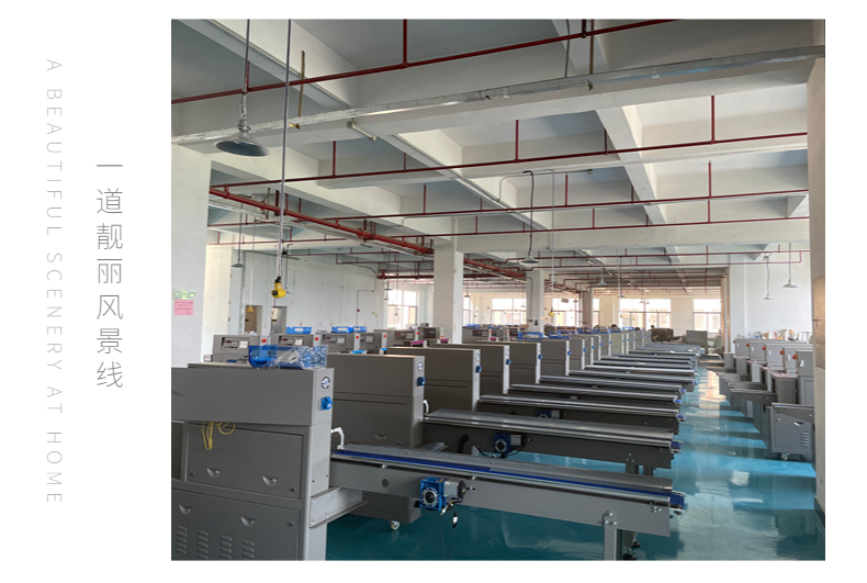 Multifunctional vertical automatic weighing and freeze-drying strawberry packaging machine, particle nut sealing machine, Bosheng equipment