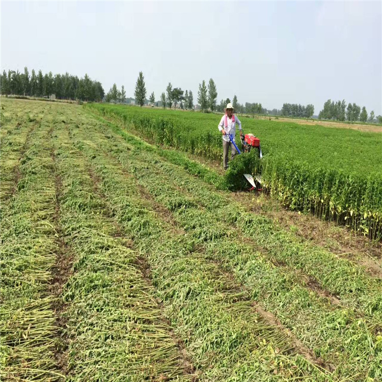 Handheld integrated rice and wheat harvester, new crescent plate harvester, wheat and alfalfa blade harvester