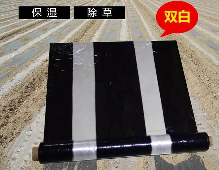 Sales by Shuaifeng Agricultural Film Vegetable Special PE Plastic Black and White Film Insulation and Moisturizing Manufacturer