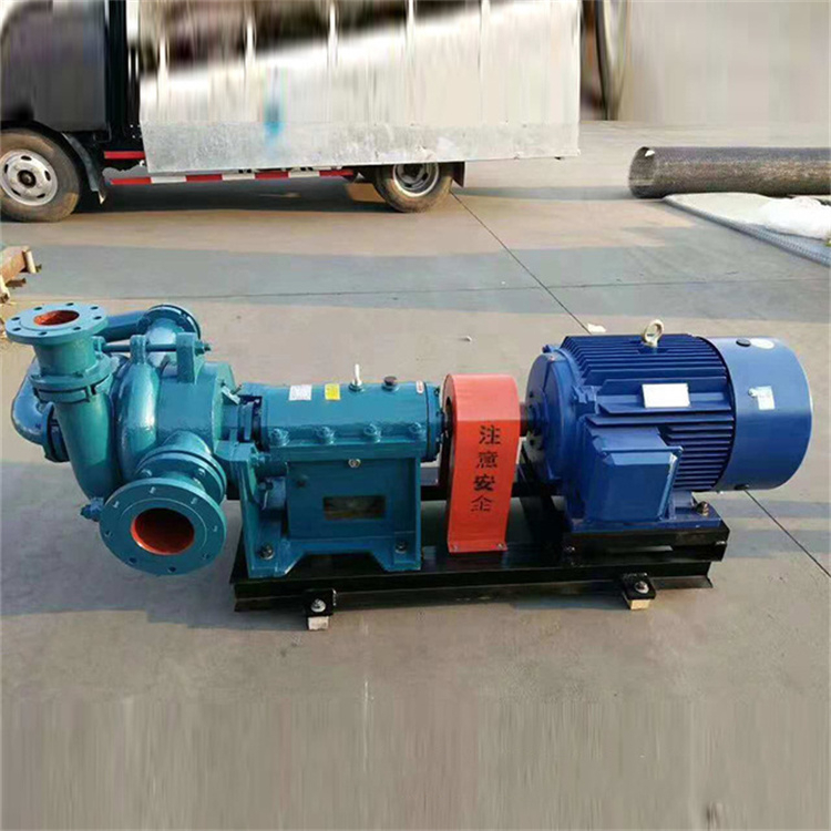 65ZJW-II Filter Press Feed Pump Coal Slurry Treatment Horizontal Double Impeller Booster Impurity Mud Feed Pump