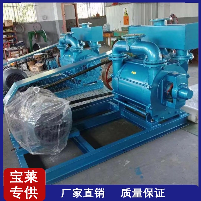 Baolai 2BE Water Ring Vacuum Pump Plastic Industry Water Cycle Gas Compression Pump and Vacuum Unit Customization