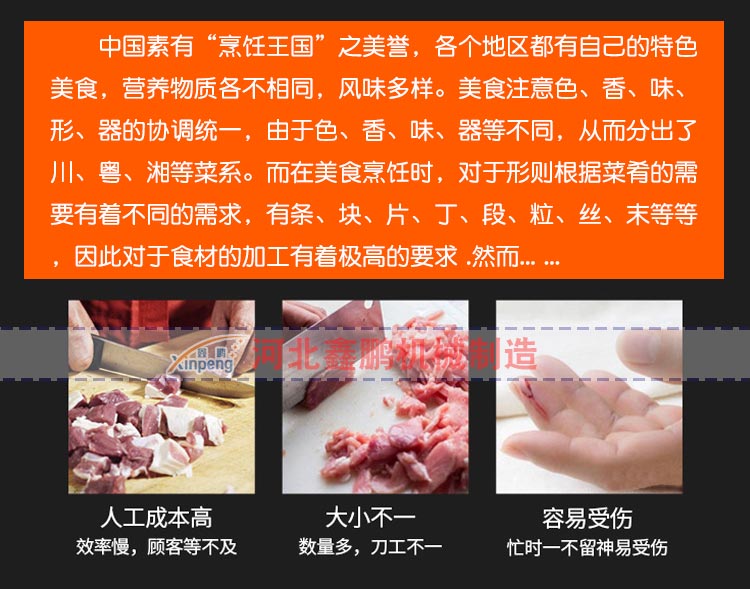 Radish Dicing Machine Equipment, Medicinal Materials Wax Slicing Machine, Baozi Equipment, Supporting Frozen Meat Dicing Machine