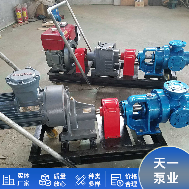 NYP52 high viscosity gear pump, stainless steel internal mesh pump, specifications and dimensions can be customized and supplied to Tianyi Pump Industry