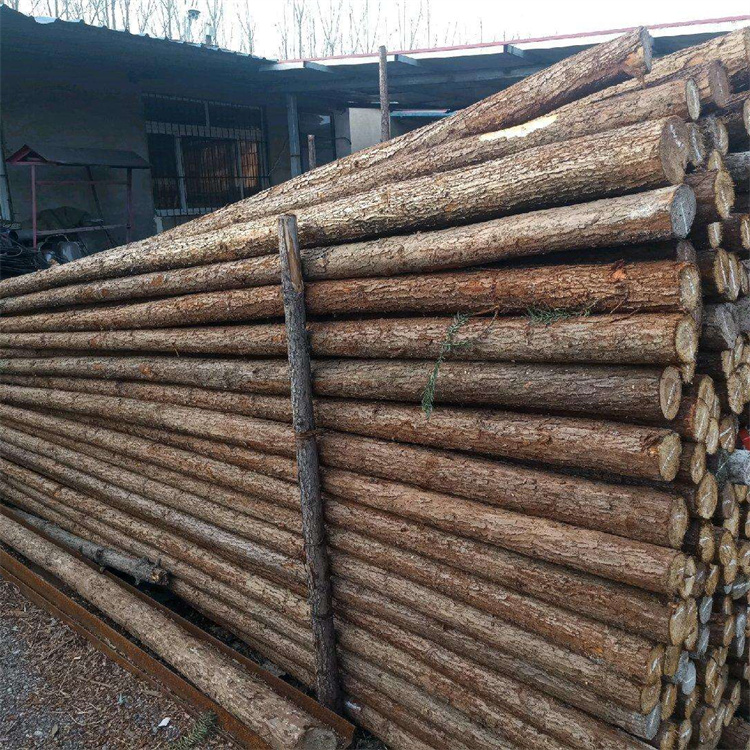 Green poles supply, landscaping and greening engineering, Chinese fir poles, Chinese fir pile base, direct sales