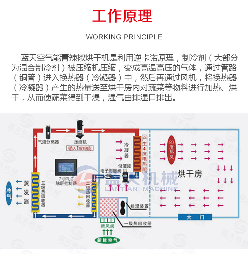 Green Pepper Drying Equipment Intelligent Temperature Control Kang Green Pepper Slice Drying Room Green Pepper Section Green Pepper Slice Green Pepper Ring Drying Machine