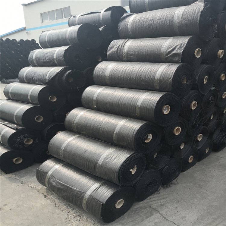 Manufacturer of Horticultural Land Cloth, Agricultural Greenhouse Greening Cloth, Black Grass Suppressing Cloth, Needle Needled Grass Preventing Cloth