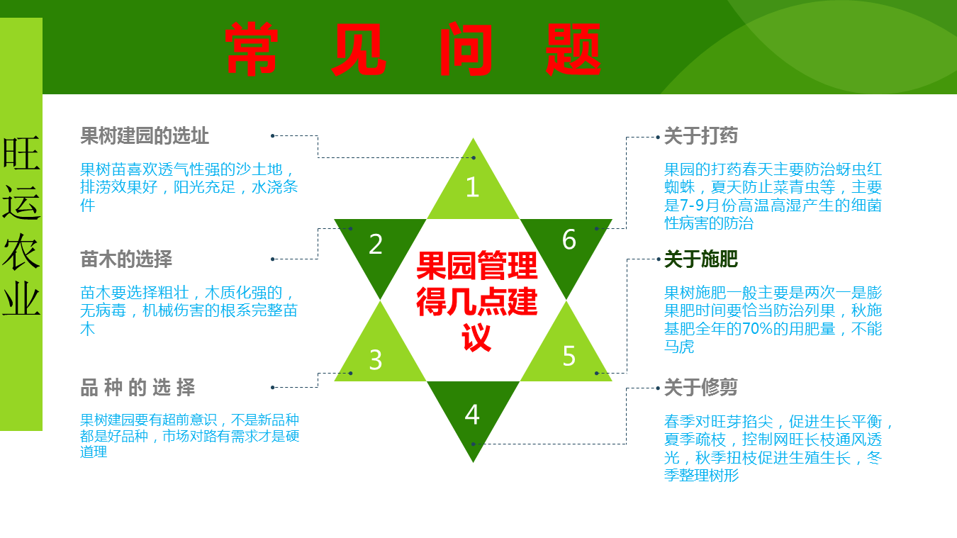 The grafting varieties of peach seedlings and mountain peach seedlings occupy land and are supplied by agricultural manufacturers in Dawangyun