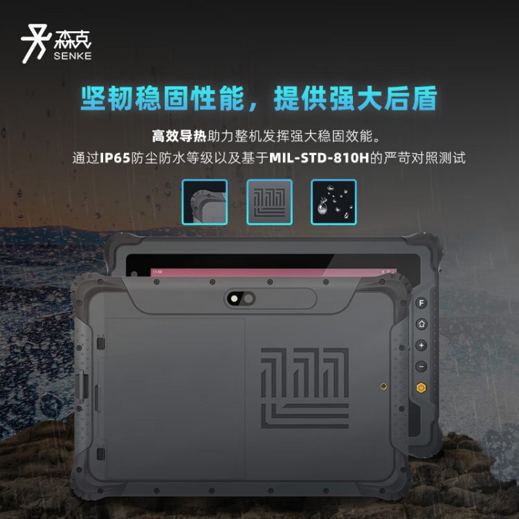 结构示意图
