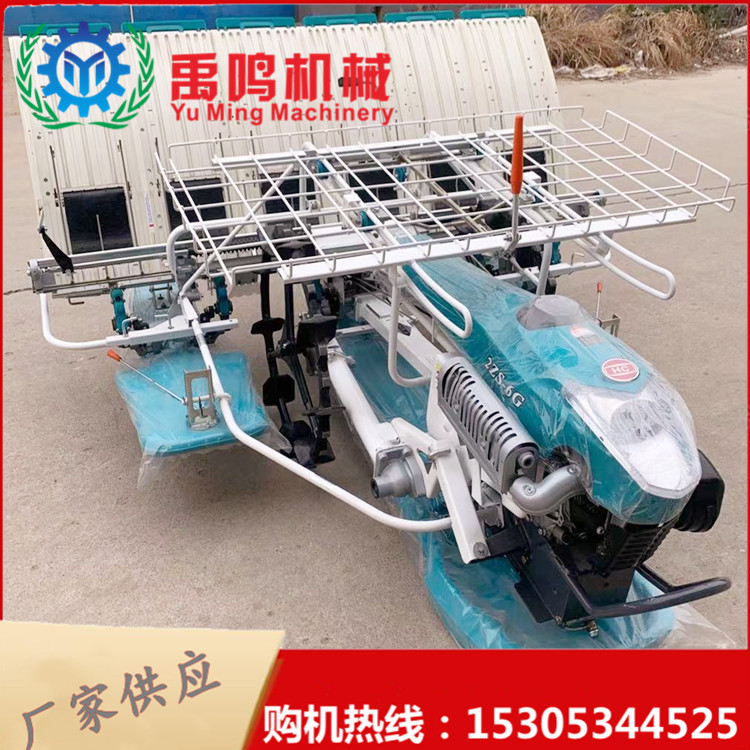 New walking walking type rice planter Seedling planter Paddy field electric start 4-6 row Rice transplanter