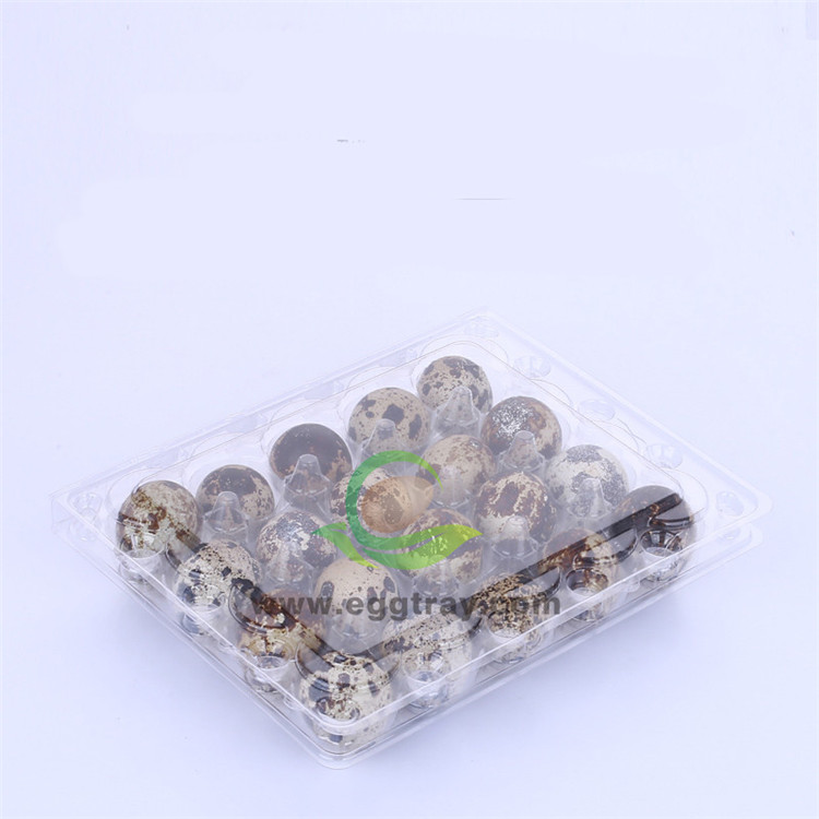 30 Quail eggs holders with buckle plastic transparent disposable quail egg holders