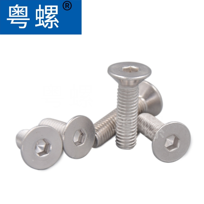 Guangdong Screw Wholesale Wall plug, car repair, gecko tension screw, elevator Wall plug