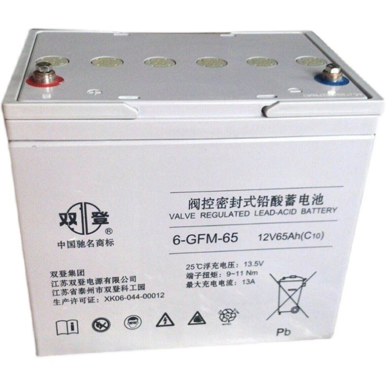 双登蓄电池6-GFM-65 12V65AH直流屏 配电柜 UPS/EPS电源 通信基站