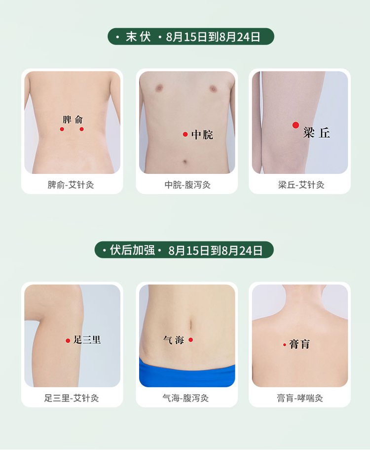 Qinlu Moxa Hot Moxibustion Stick Acupoint Stick Herbal Sanfutie for Whole Body Application OEM