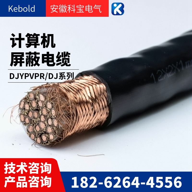 DJYVP2/DJYVP3/DJYPVP/DJYP2VP2 Computer Cable - Polyethylene Insulated Computer Cable