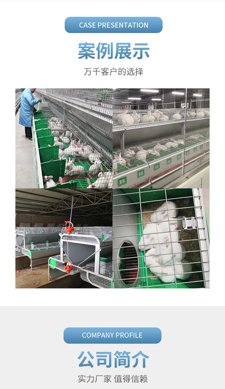 New Breeding Cage Rabbit Cage Behavior Breeding Cage Automation Double Layer European Rabbit Cage Equipment