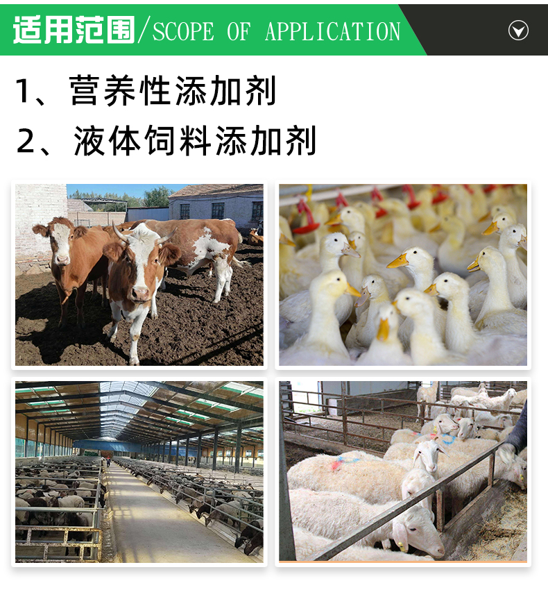 Liquid methionine nutritional additive, feed additive, high content, French Adissou