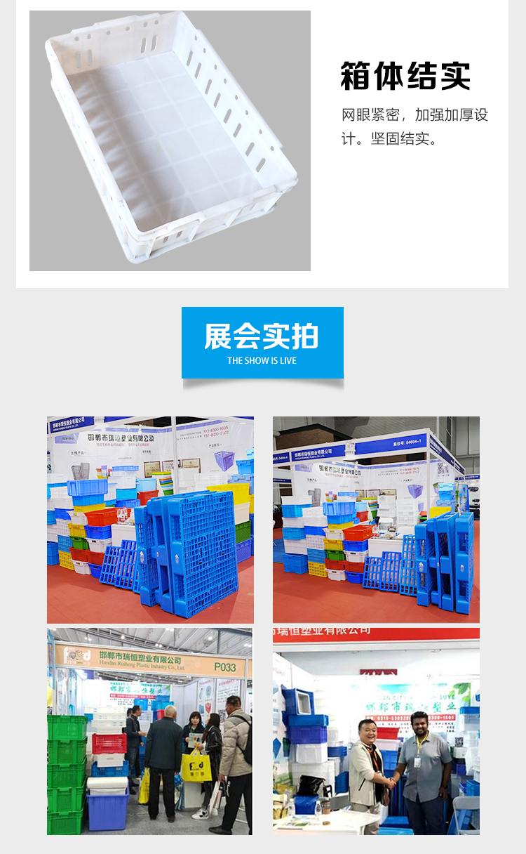 White Strawberry Box Household Blueberry Small Hollow Plastic Turnover Box Brand New Material Grape Fruit Plastic Basket