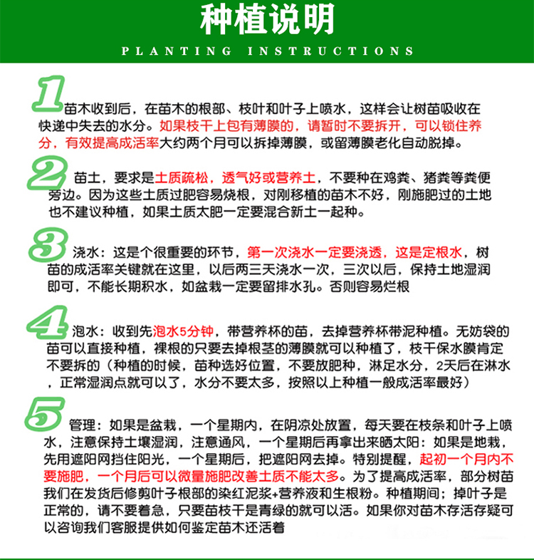 Planting Chinese toon seedlings in greenhouses requires selecting conditions that meet the requirements of a thick stem diameter, a dome, and a well-developed virus free root system