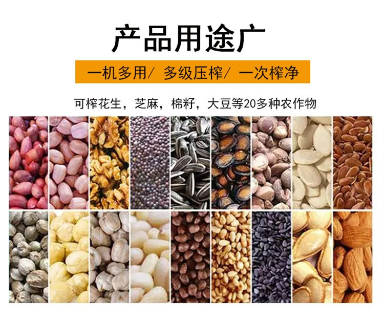 Rapeseed screw oil press, commercial peanut oil press equipment, oil workshop fully automatic oil press equipment, Andrui