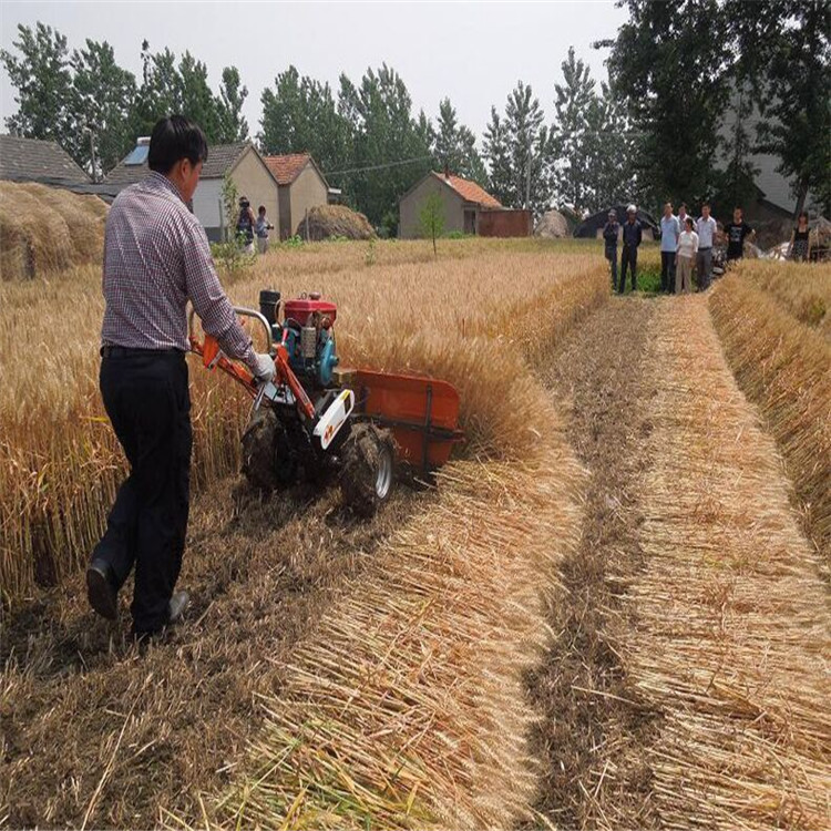 Integrated rice and wheat harvester, hand-held ryegrass mower, small four-wheel front lawn mower