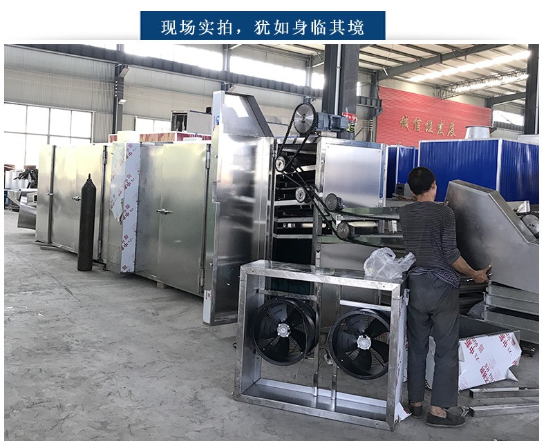 Customized multi-layer mesh belt dryer for dehydrating vegetables, dates, yams, and food belt dryer