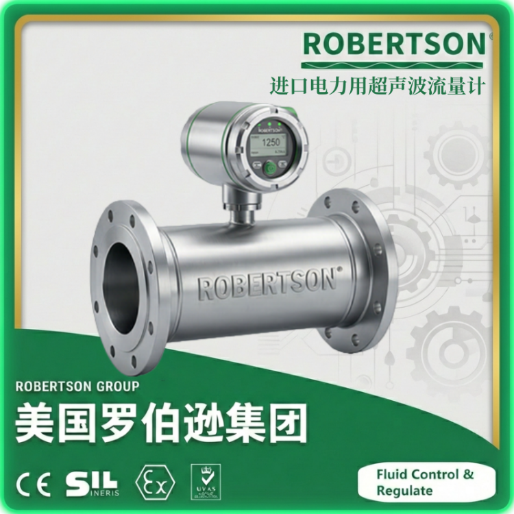 进口电磁流量计 电力用 无压损 频率 氯丁橡胶 美国罗伯逊 ROBERTSON