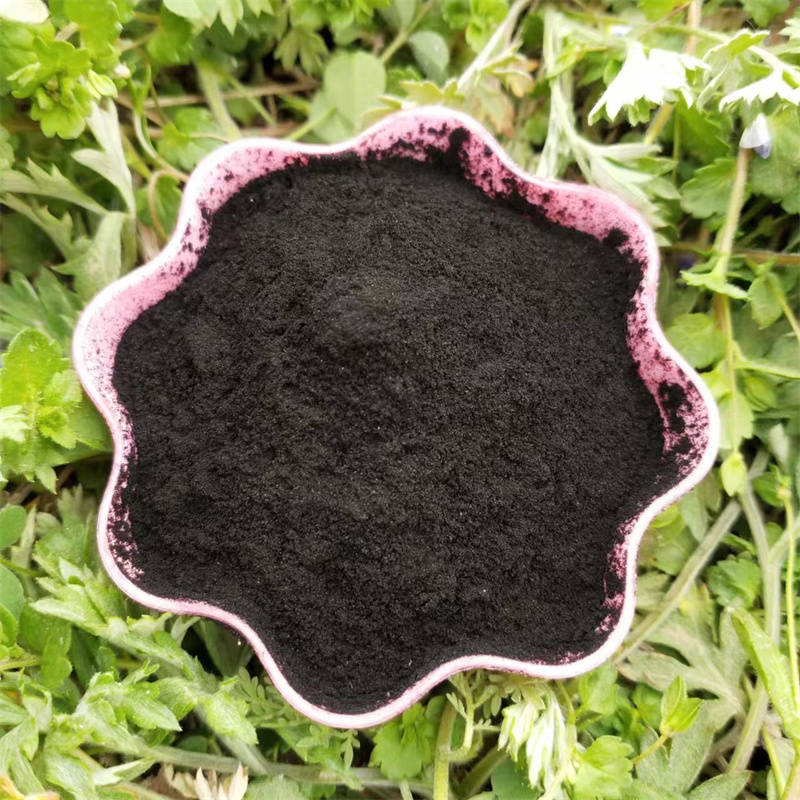 Source manufacturer directly provides high iodine value powdered activated carbon for free on-site debugging, trustworthy Biyuan