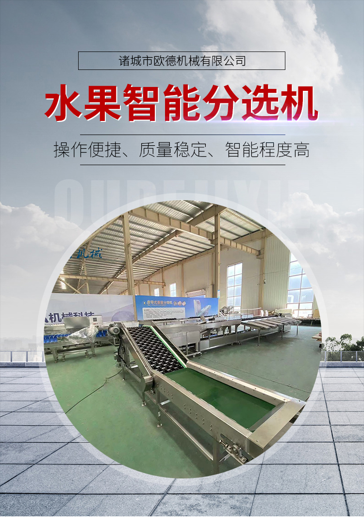 Fruit sorting machine avocado weight classifier dragon fruit mango apple citrus fruit selection equipment