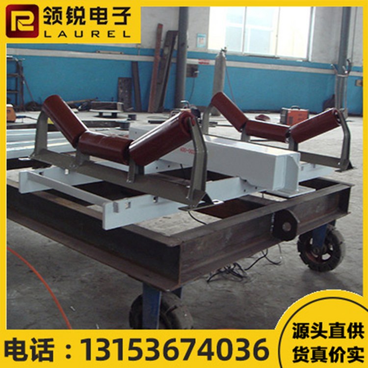 调速皮带秤 可进行调控 操作简单方便 领锐 精度高