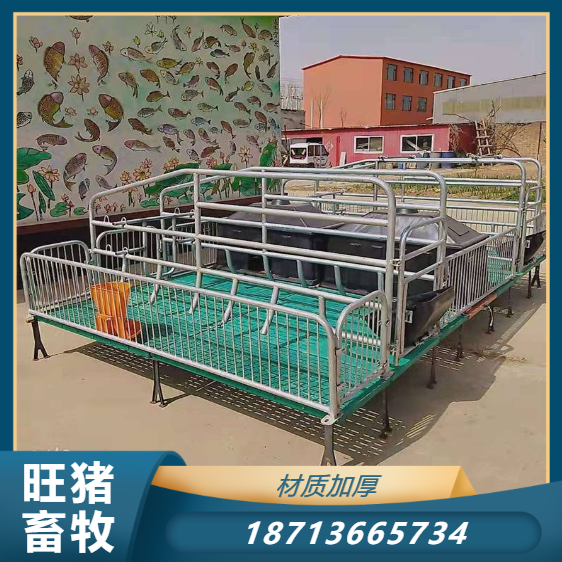 Single sow production bed pig breeding equipment logistics shipment hot-dip galvanized pipe welding Wang pig livestock