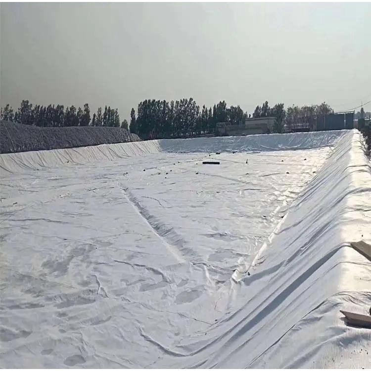 Supply HDPE geomembrane reservoir smooth landfill anti-aging black white geomembrane customizable