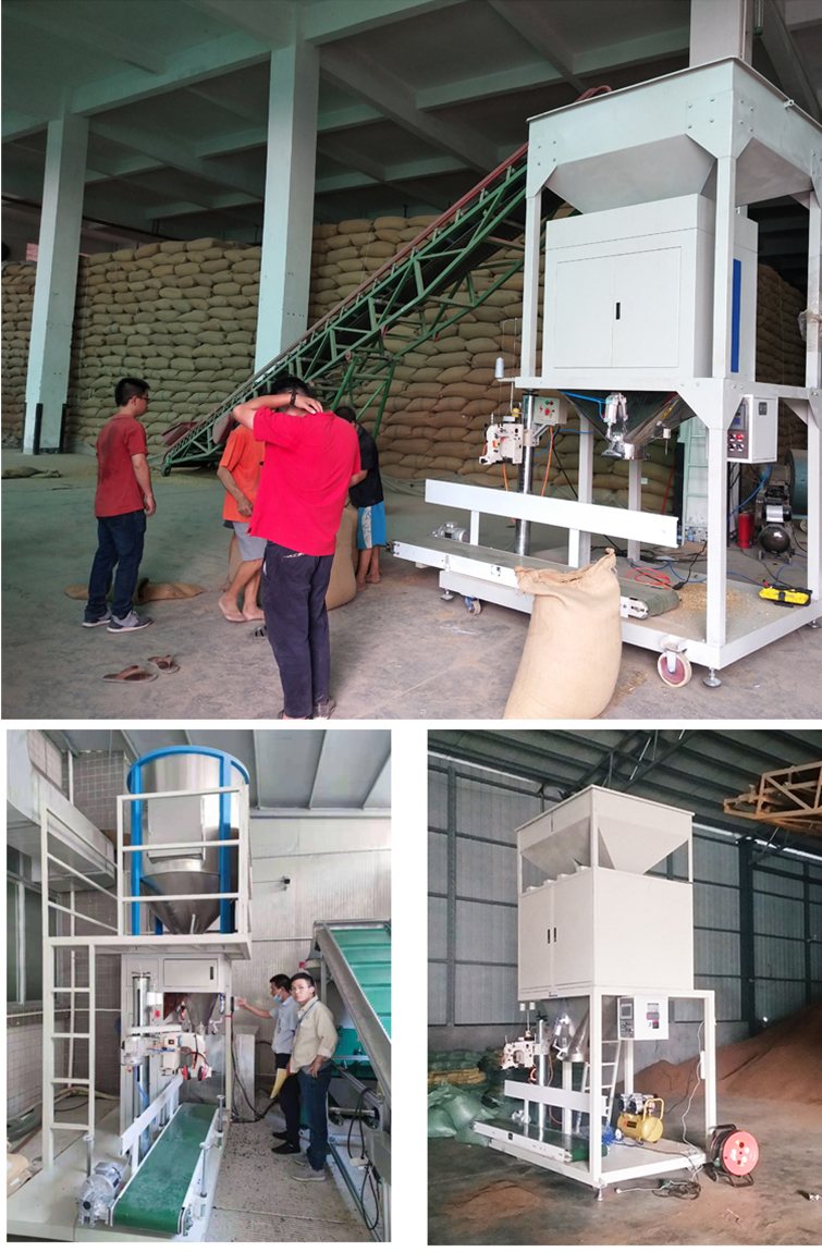 Plastic particle packaging machine NH100a-25-01 Nanheng